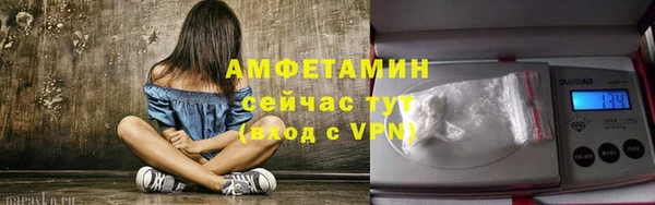 крисы Корсаков