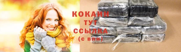 крисы Корсаков