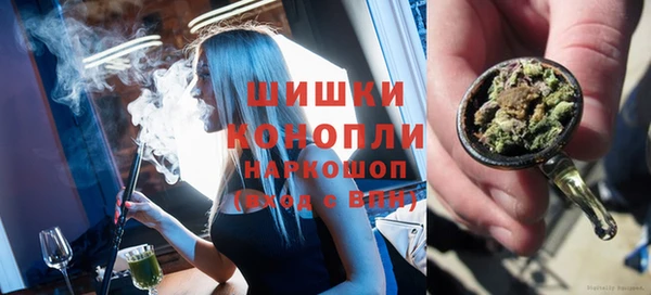 стаф Коряжма