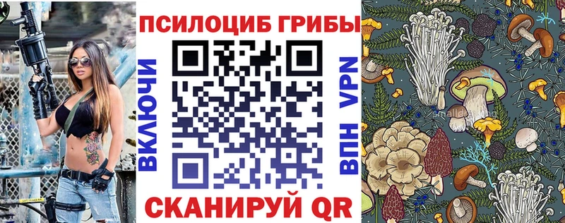 Галлюциногенные грибы прущие грибы  купить наркотики цена  Каменск-Уральский 